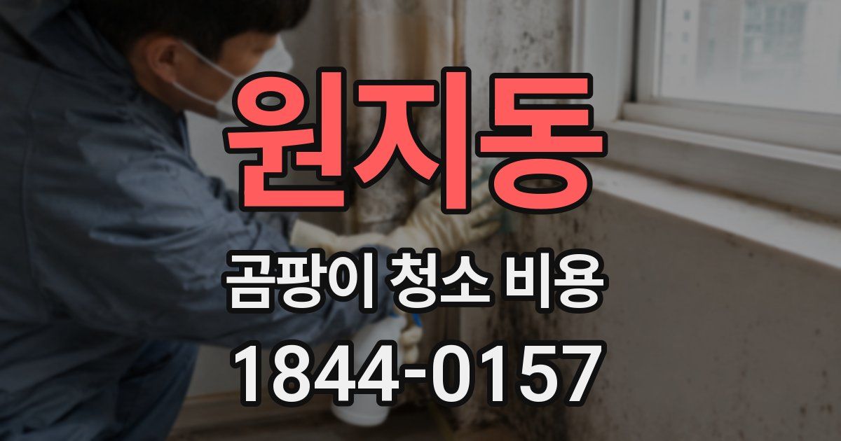 원지동 곰팡이 청소 비용