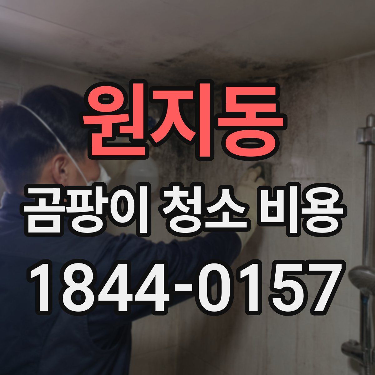 원지동 곰팡이 청소 비용