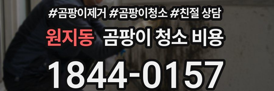 원지동 곰팡이 청소 비용