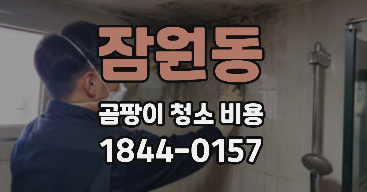 잠원동 곰팡이 청소 비용
