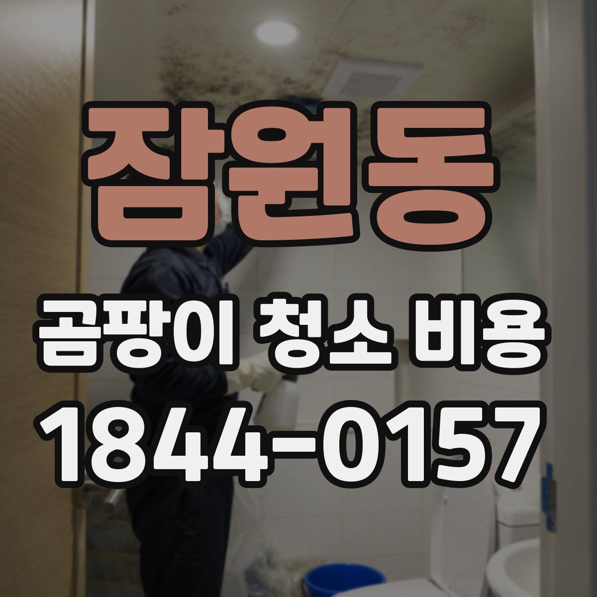 잠원동 곰팡이 청소 비용