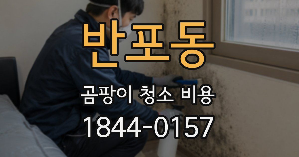 반포동 곰팡이 청소 비용