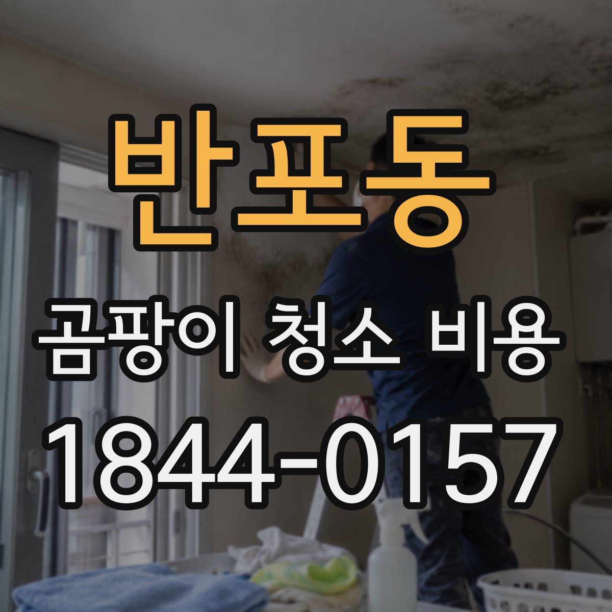 반포동 곰팡이 청소 비용