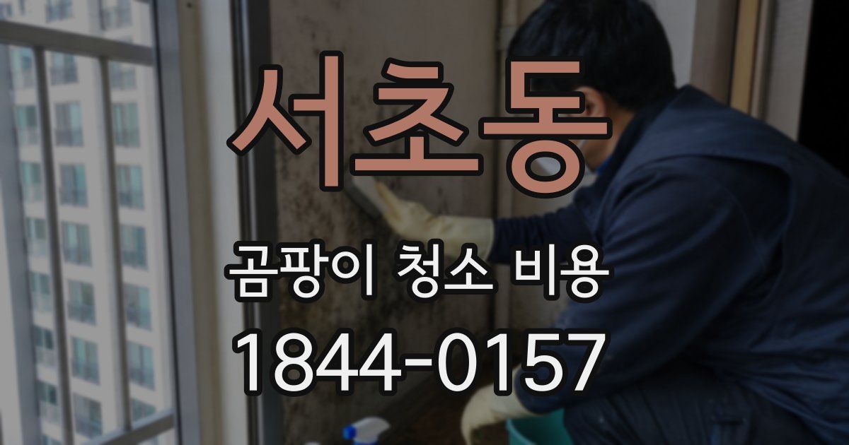 서초동 곰팡이 청소 비용