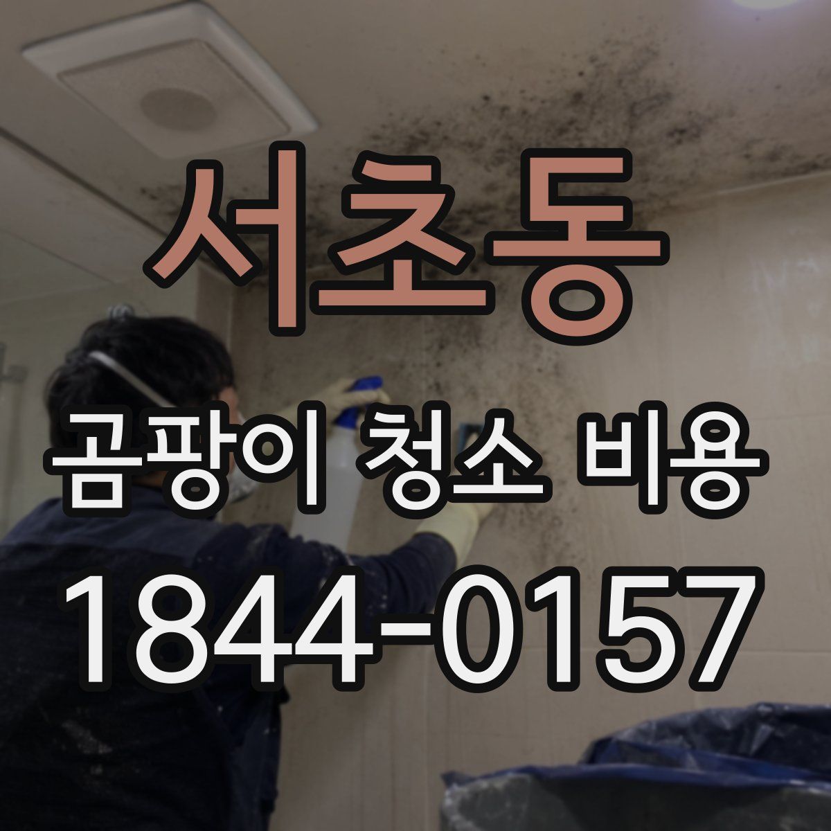 서초동 곰팡이 청소 비용