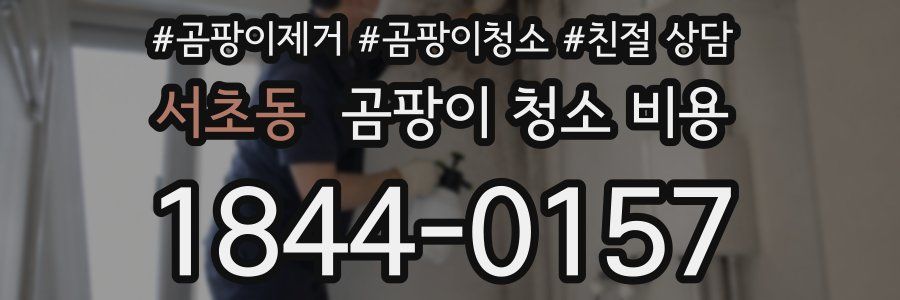 서초동 곰팡이 청소 비용