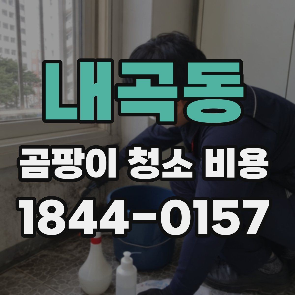 내곡동 곰팡이 청소 비용 확인 전 점검해야 할 항목