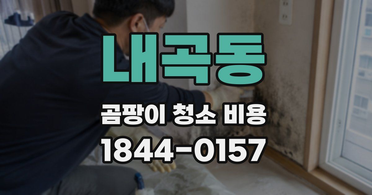 내곡동 곰팡이 청소 비용