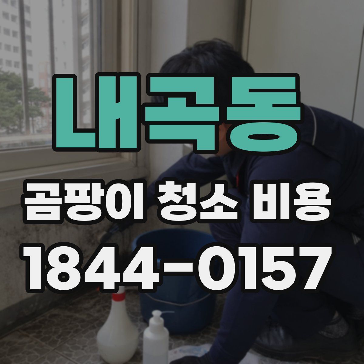 내곡동 곰팡이 청소 비용