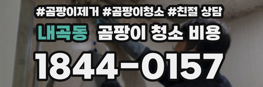내곡동 곰팡이 청소 비용