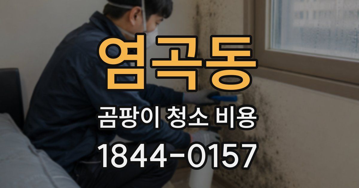 염곡동 곰팡이 청소 비용