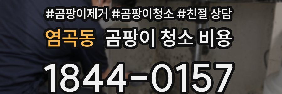 염곡동 곰팡이 청소 비용