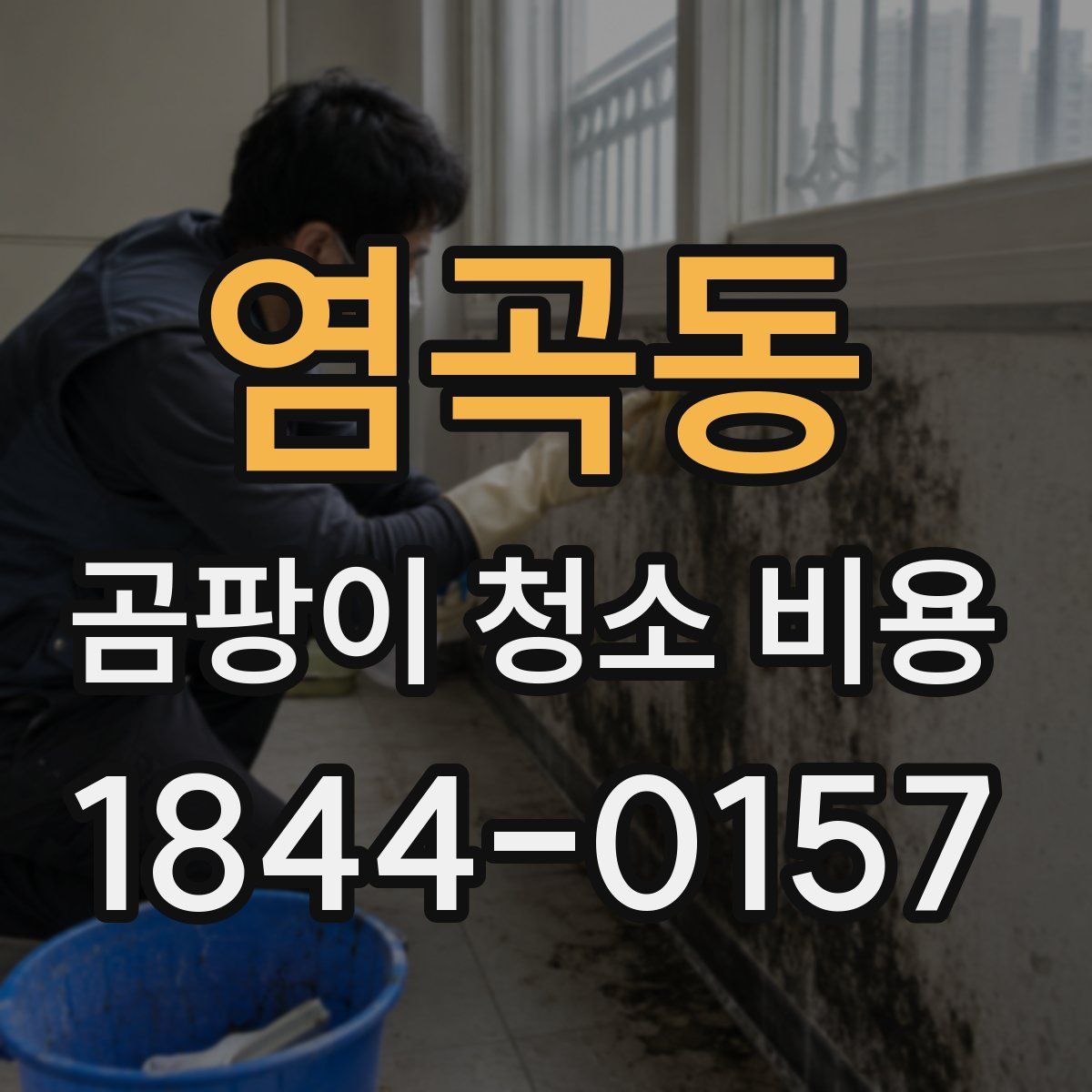 염곡동 곰팡이 청소 비용