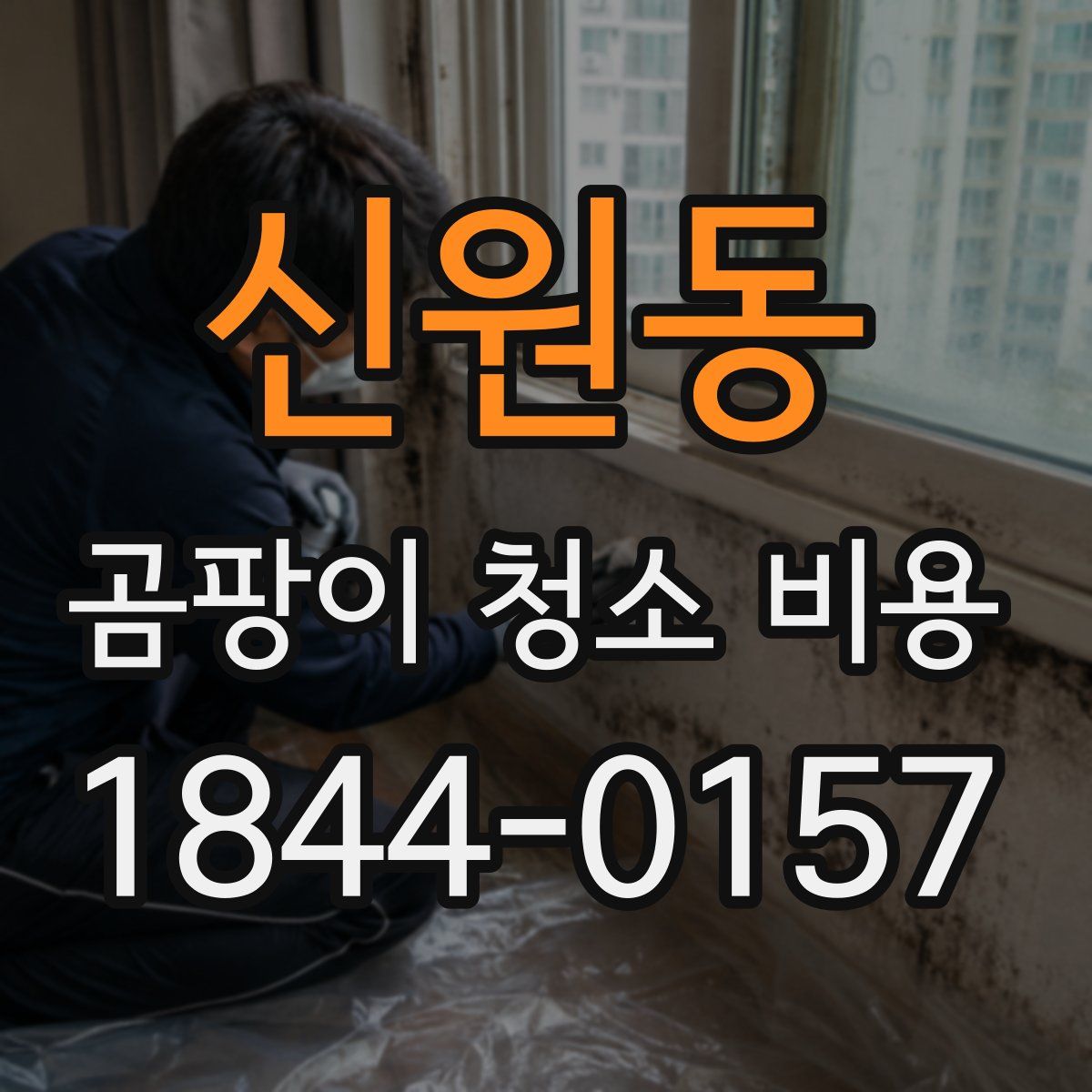 신원동 곰팡이 청소 비용
