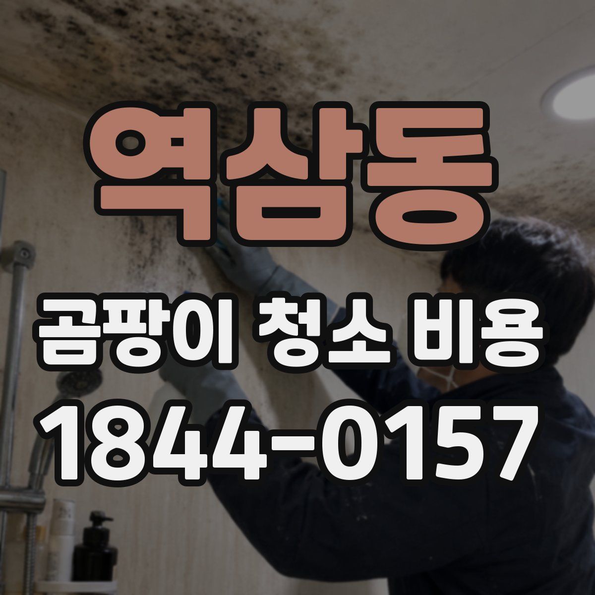 역삼동 곰팡이 청소 비용