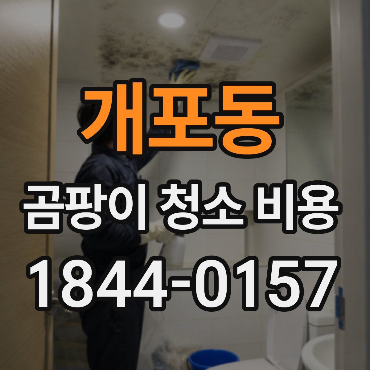 개포동 곰팡이 청소 비용