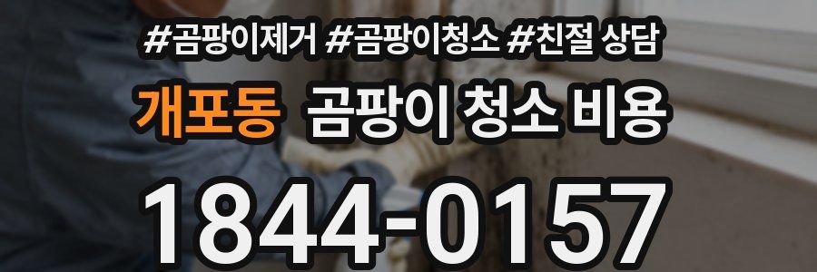 개포동 곰팡이 청소 비용