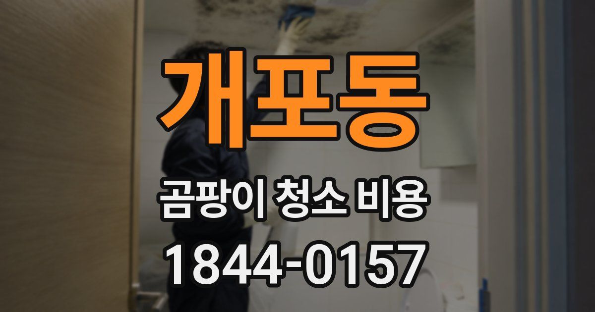 개포동 곰팡이 청소 비용