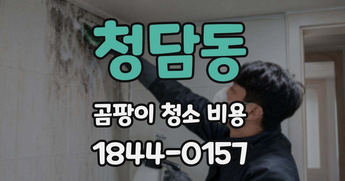 청담동 곰팡이 청소 비용
