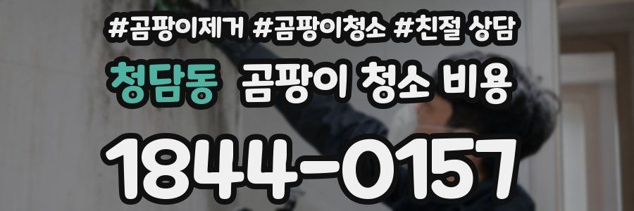 청담동 곰팡이 청소 비용