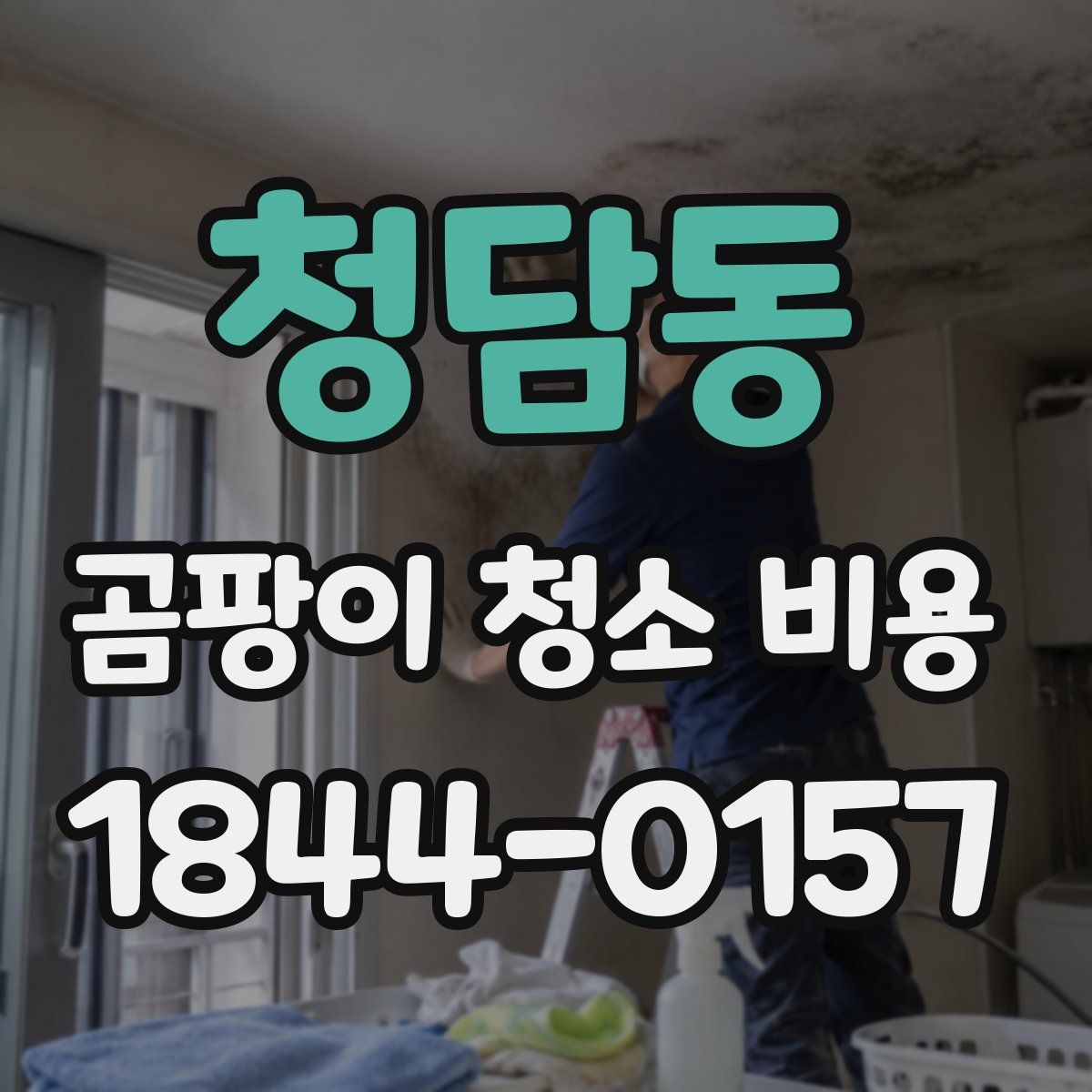 청담동 곰팡이 청소 비용