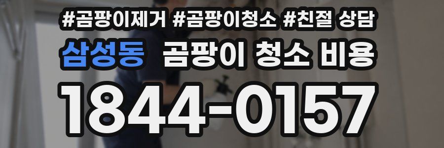 삼성동 곰팡이 청소 비용