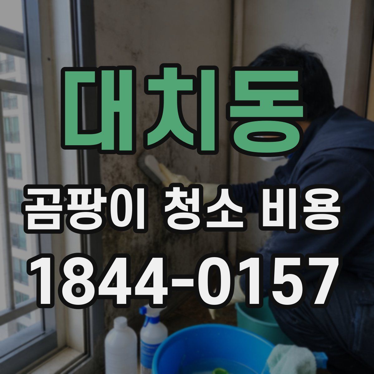 대치동 곰팡이 청소 비용
