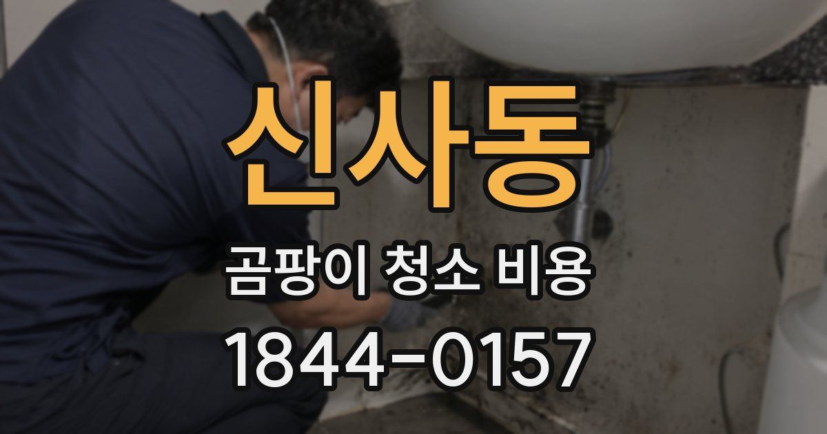 신사동 곰팡이 청소 비용