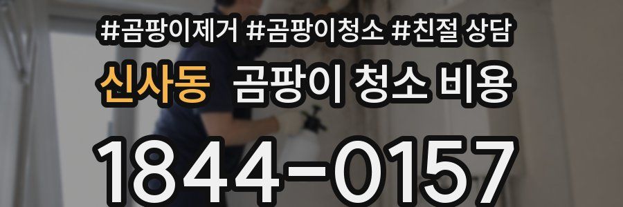 신사동 곰팡이 청소 비용
