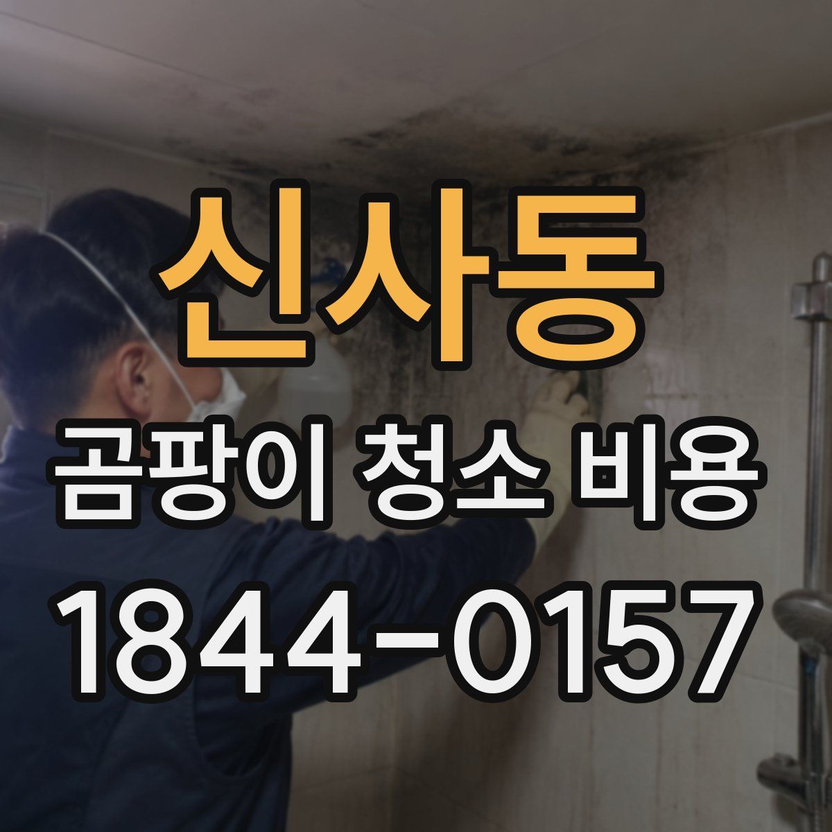 신사동 곰팡이 청소 비용