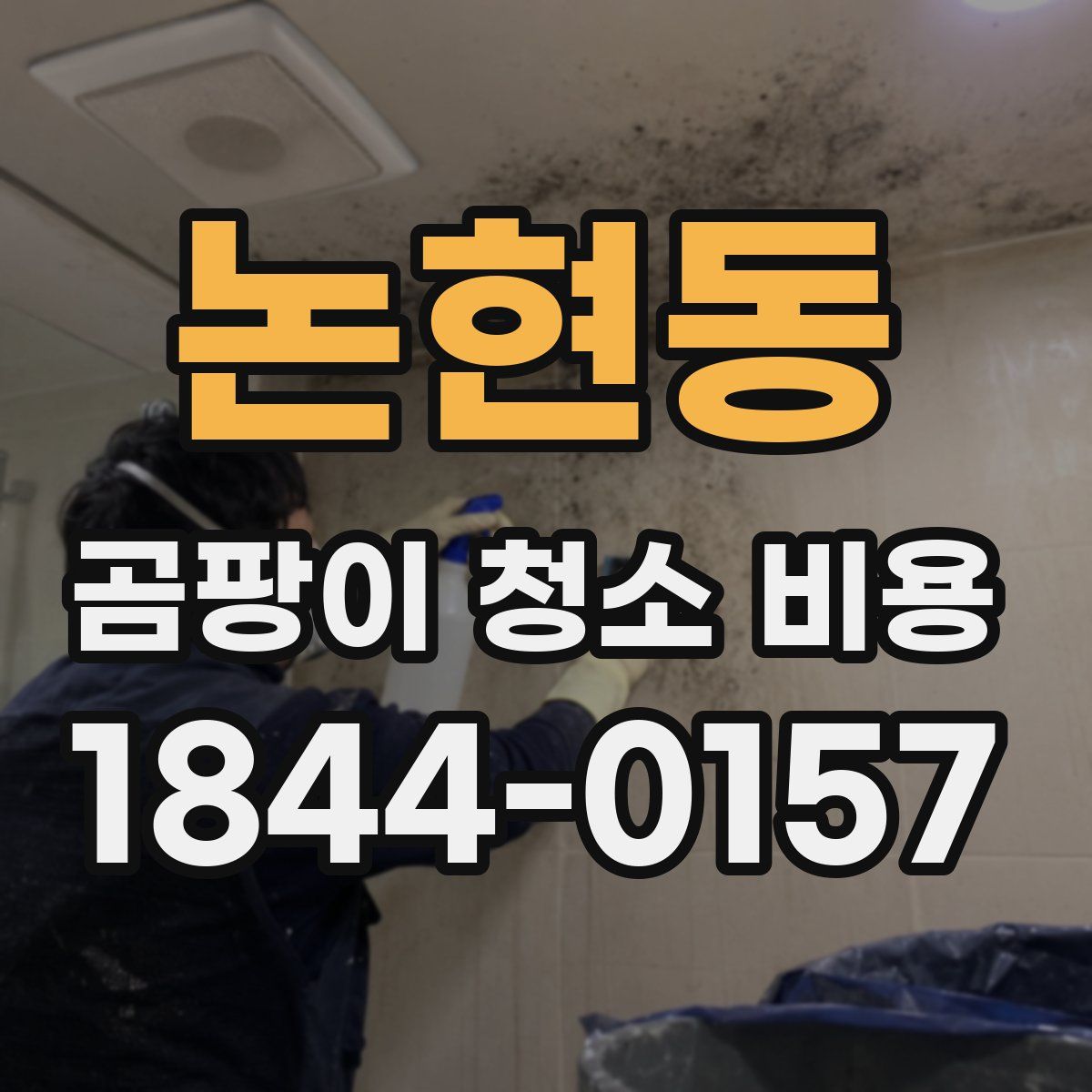 논현동 곰팡이 청소 비용
