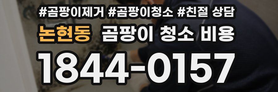 논현동 곰팡이 청소 비용
