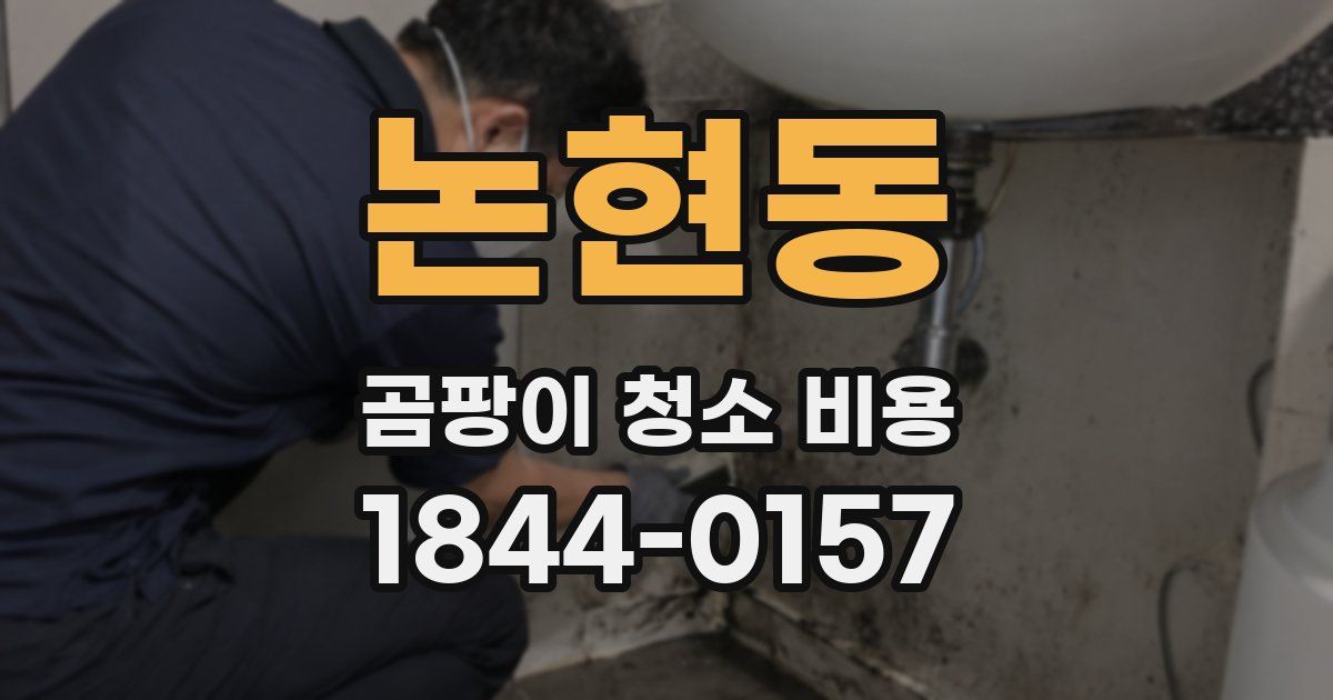 논현동 곰팡이 청소 비용