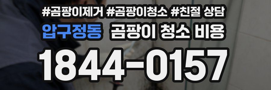 압구정동 곰팡이 청소 비용