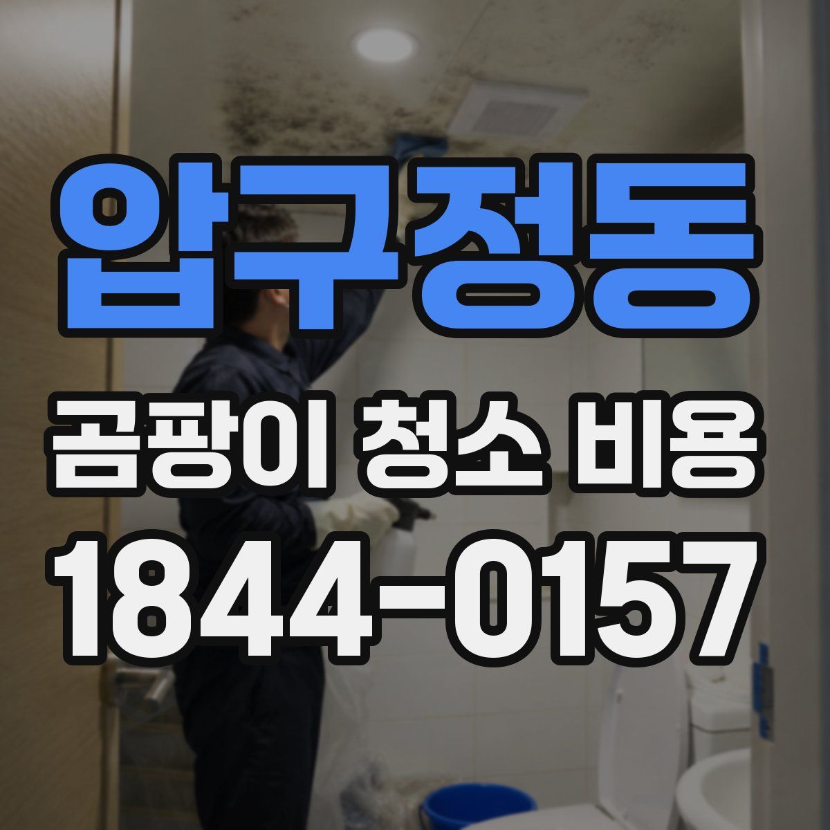 압구정동 곰팡이 청소 비용