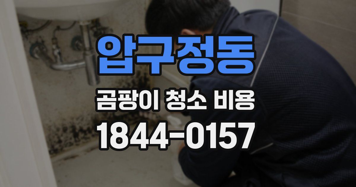 압구정동 곰팡이 청소 비용