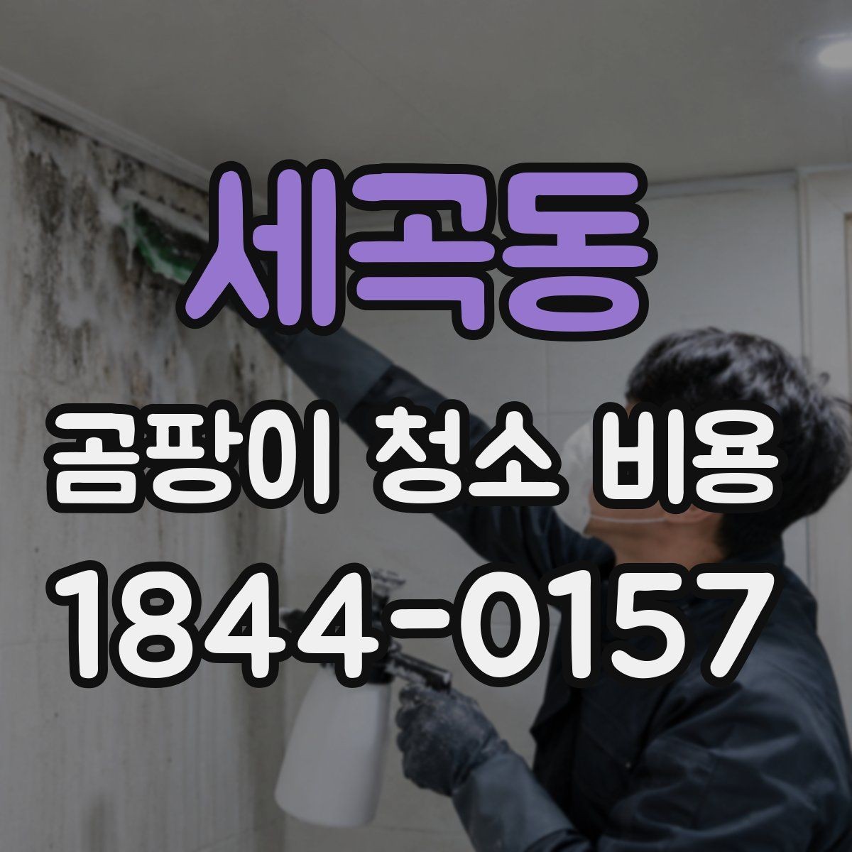 세곡동 곰팡이 청소 비용 산정에 자주 쓰이는 기준들