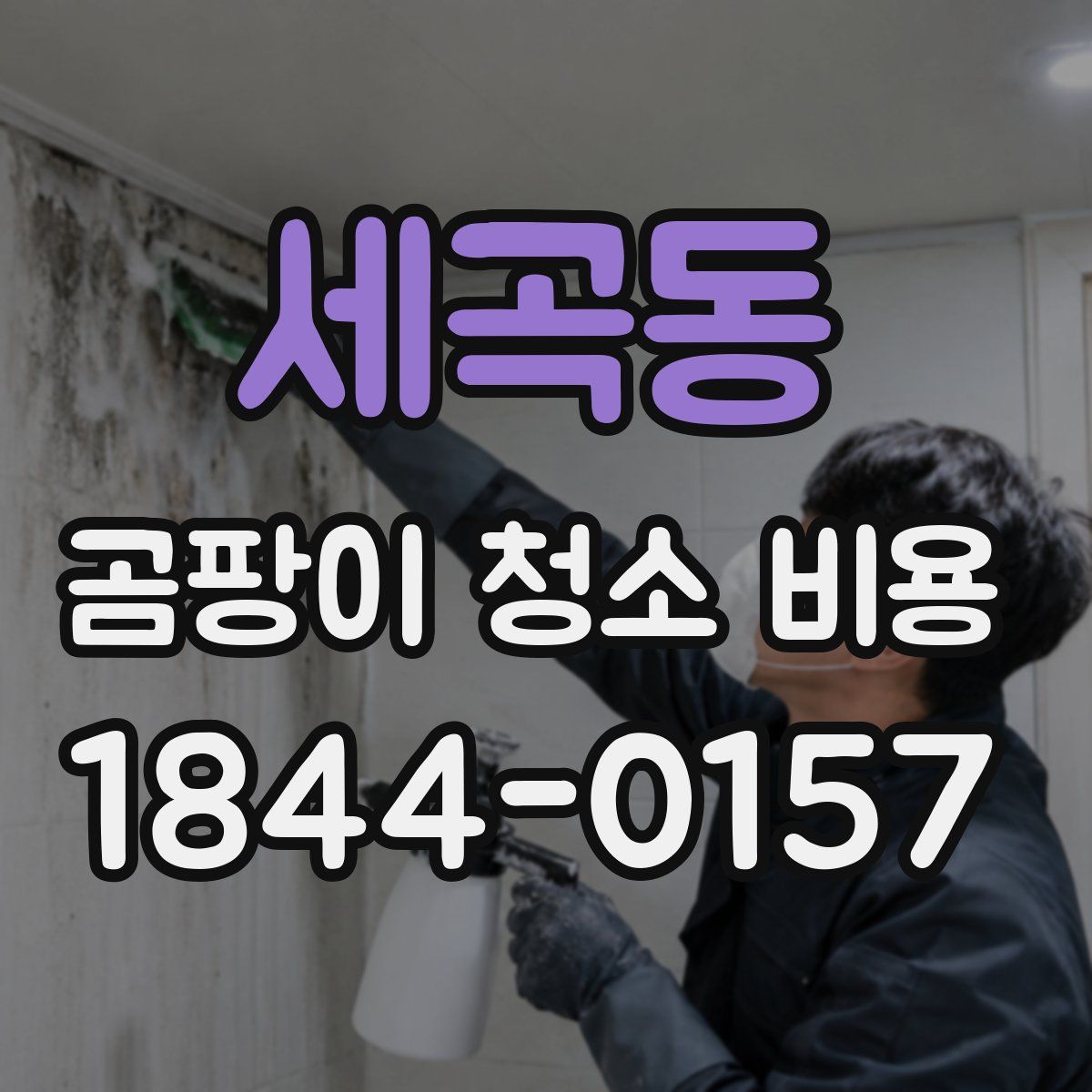 세곡동 곰팡이 청소 비용