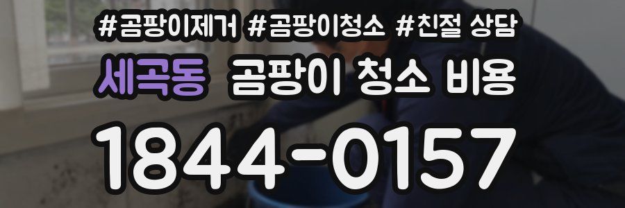 세곡동 곰팡이 청소 비용