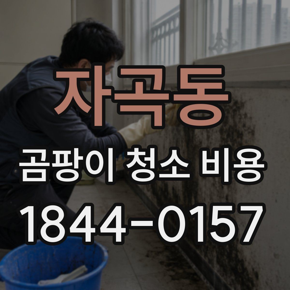 자곡동 곰팡이 청소 비용 상담 시 자주 하는 질문 모음