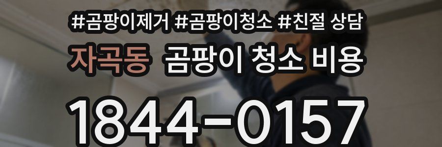 자곡동 곰팡이 청소 비용