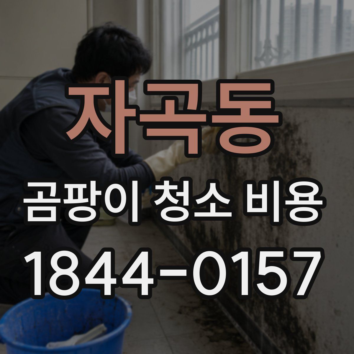 자곡동 곰팡이 청소 비용
