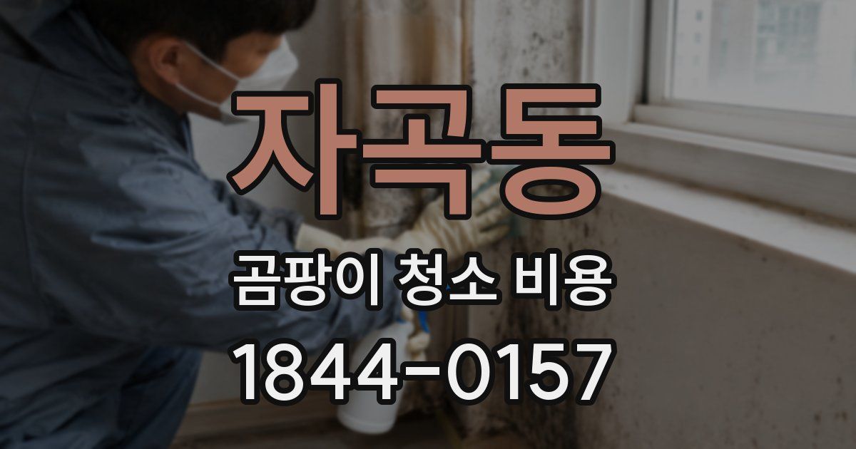 자곡동 곰팡이 청소 비용
