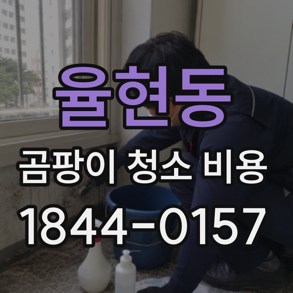 율현동 곰팡이 청소 비용 예상이 어려운 대표적인 경우