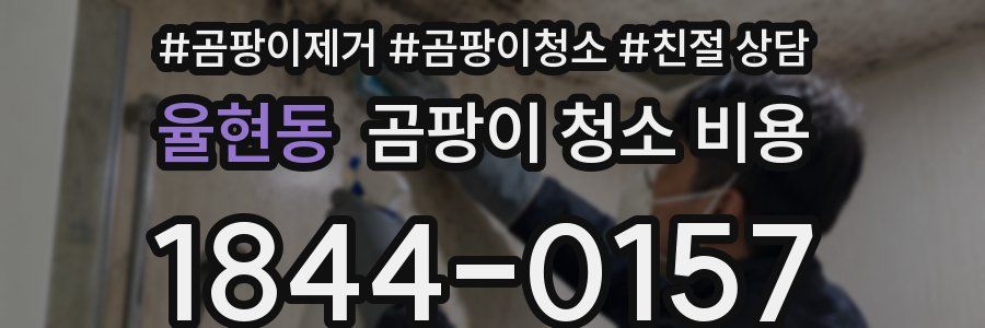 율현동 곰팡이 청소 비용