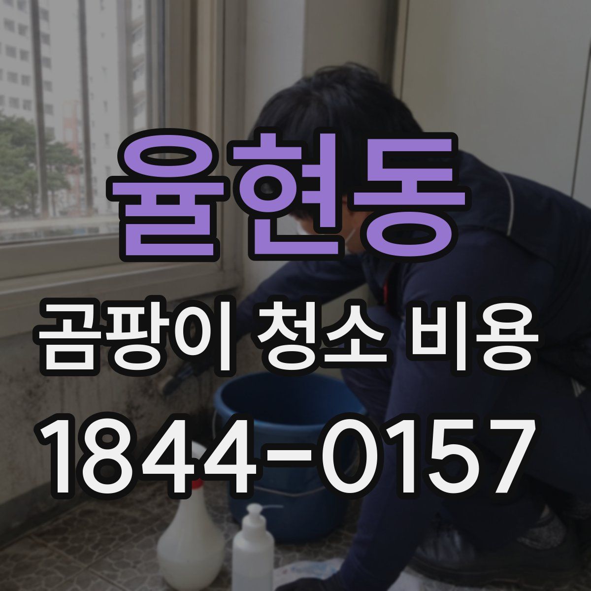 율현동 곰팡이 청소 비용