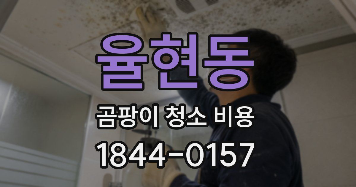 율현동 곰팡이 청소 비용