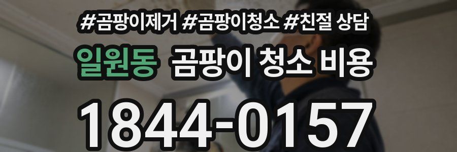 일원동 곰팡이 청소 비용