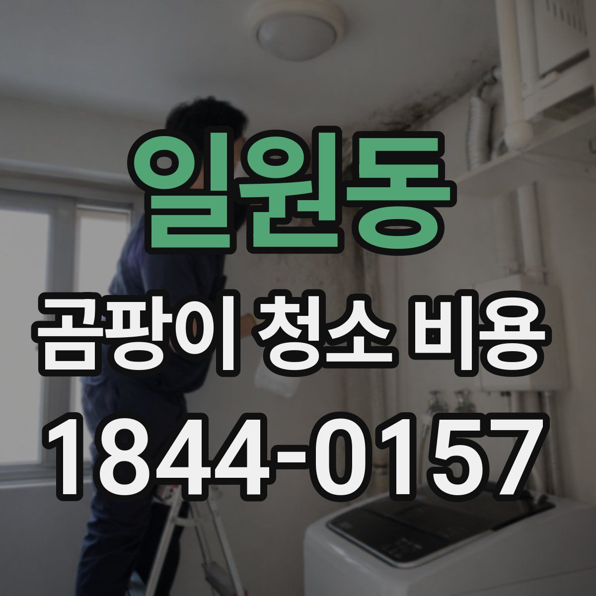 일원동 곰팡이 청소 비용