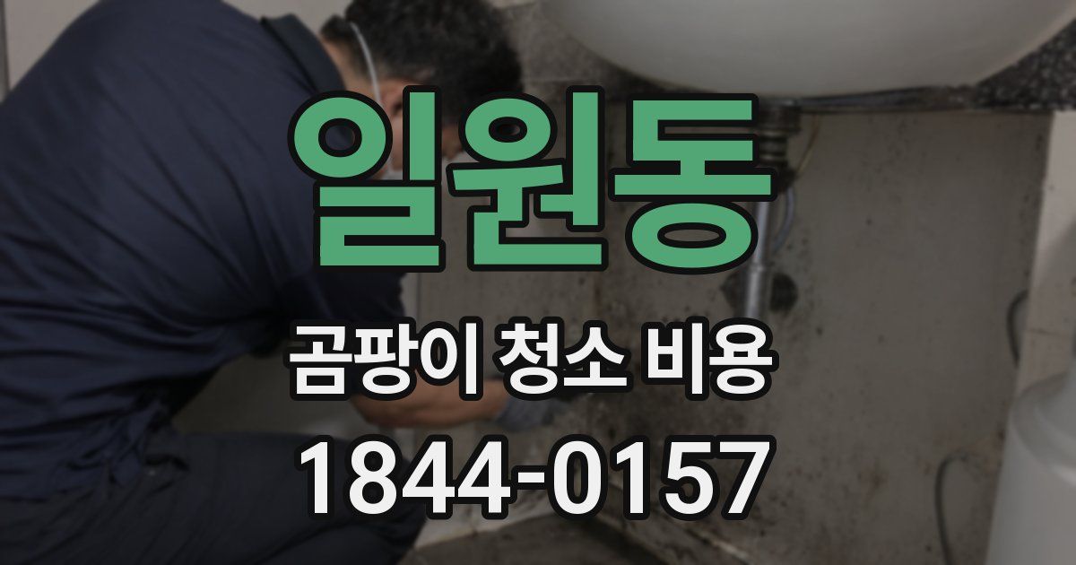 일원동 곰팡이 청소 비용